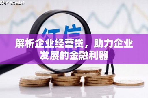 龙游解析企业经营贷，助力企业发展的金融利器
