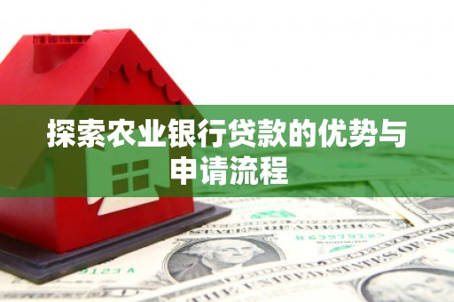 龙游探索农业银行贷款的优势与申请流程