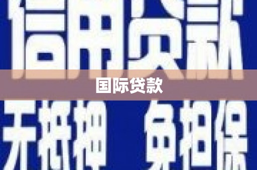 龙游国际贷款