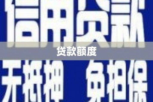 龙游贷款额度