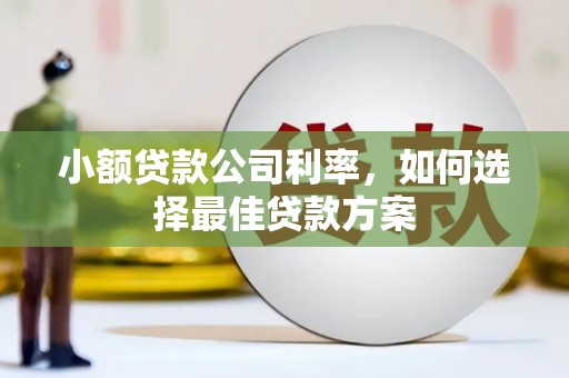 龙游小额贷款公司利率，如何选择最佳贷款方案