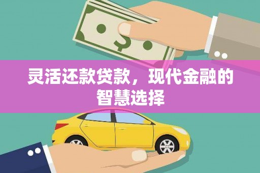 龙游灵活还款贷款，现代金融的智慧选择
