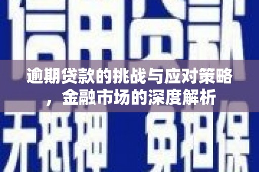 龙游逾期贷款的挑战与应对策略，金融市场的深度解析