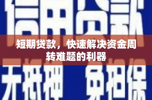 龙游短期贷款，快速解决资金周转难题的利器