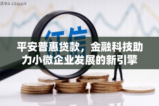 龙游平安普惠贷款，金融科技助力小微企业发展的新引擎