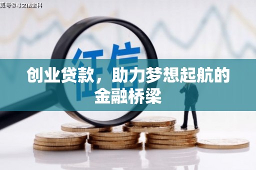 龙游创业贷款，助力梦想起航的金融桥梁