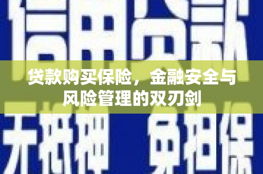 龙游贷款购买保险，金融安全与风险管理的双刃剑