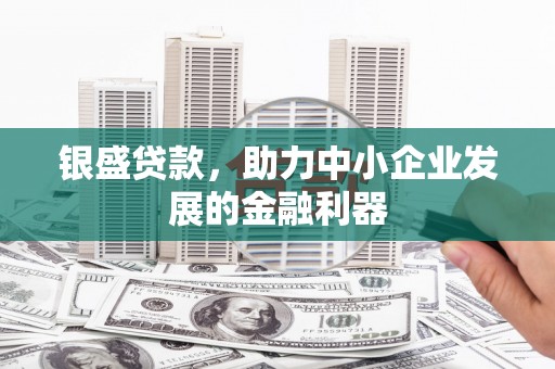 龙游银盛贷款，助力中小企业发展的金融利器