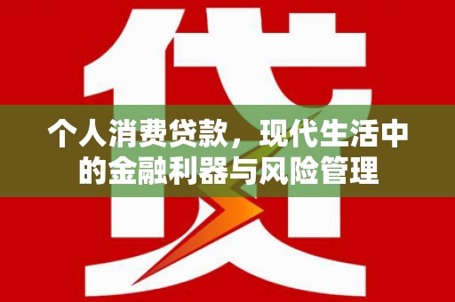 龙游个人消费贷款，现代生活中的金融利器与风险管理