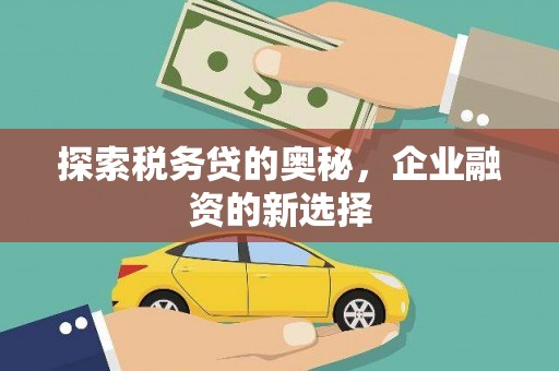 龙游探索税务贷的奥秘，企业融资的新选择
