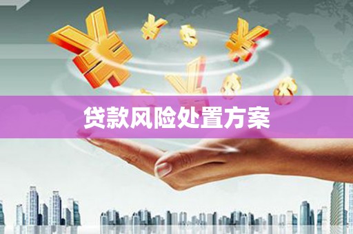 龙游贷款风险处置方案