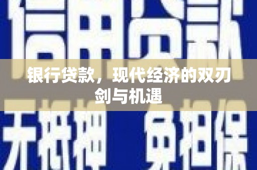 龙游银行贷款，现代经济的双刃剑与机遇
