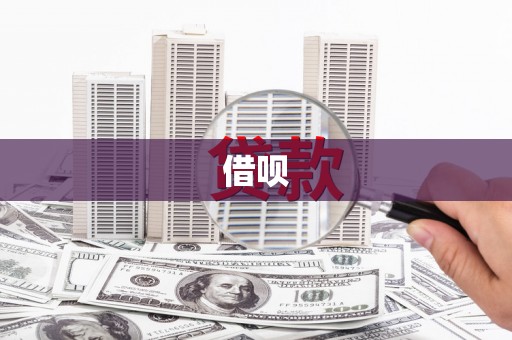 龙游借呗