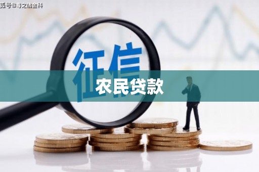 龙游农民贷款
