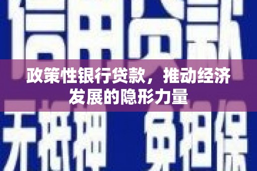 龙游政策性银行贷款，推动经济发展的隐形力量