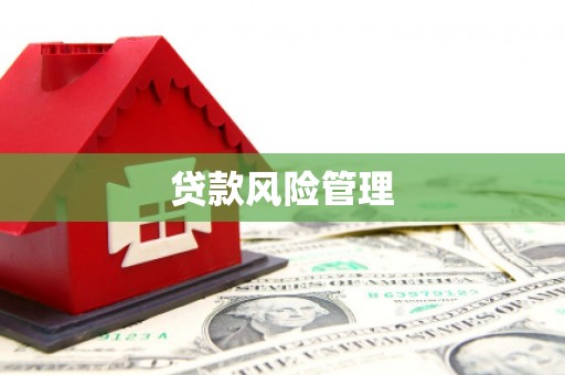 龙游贷款风险管理