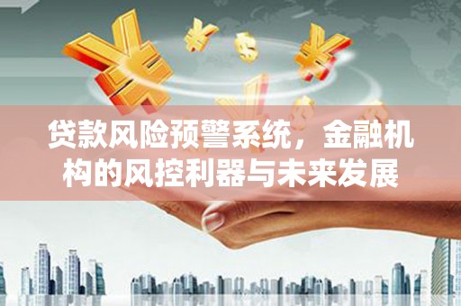 龙游贷款风险预警系统，金融机构的风控利器与未来发展