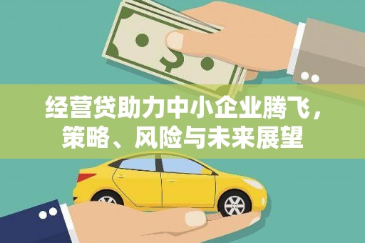 龙游经营贷助力中小企业腾飞，策略、风险与未来展望