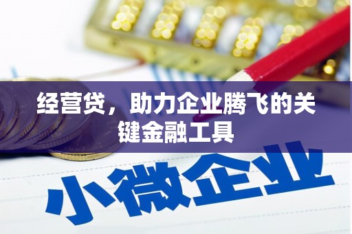 龙游经营贷，助力企业腾飞的关键金融工具