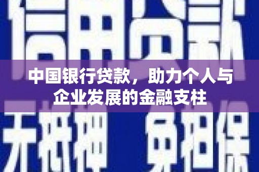 龙游中国银行贷款，助力个人与企业发展的金融支柱