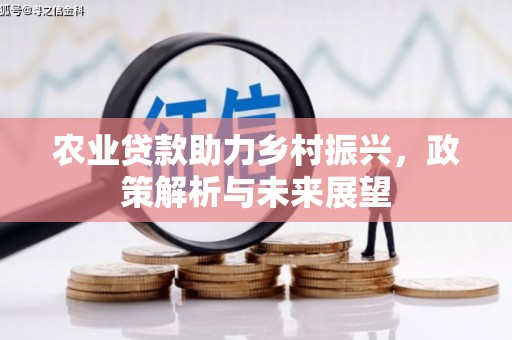 龙游农业贷款助力乡村振兴，政策解析与未来展望