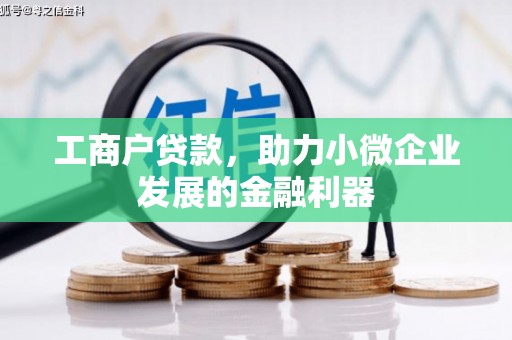 龙游工商户贷款，助力小微企业发展的金融利器