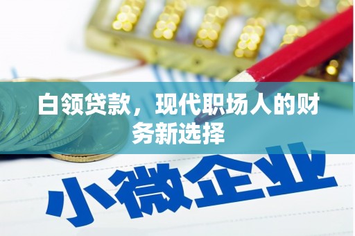 龙游白领贷款，现代职场人的财务新选择