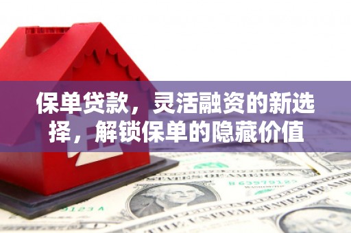 龙游保单贷款，灵活融资的新选择，解锁保单的隐藏价值