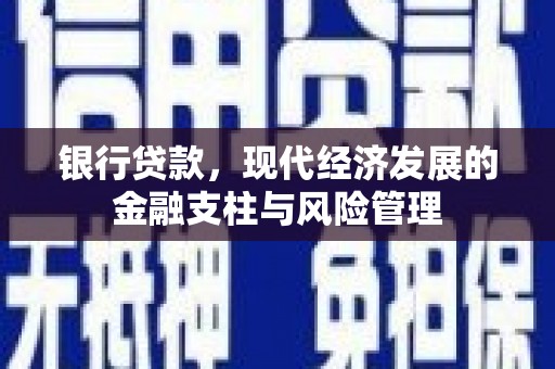 龙游银行贷款，现代经济发展的金融支柱与风险管理