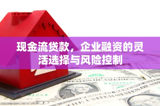 龙游现金流贷款，企业融资的灵活选择与风险控制