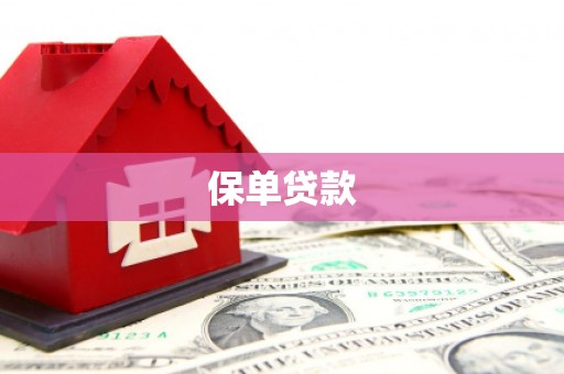 龙游保单贷款