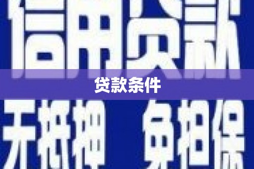 龙游贷款条件