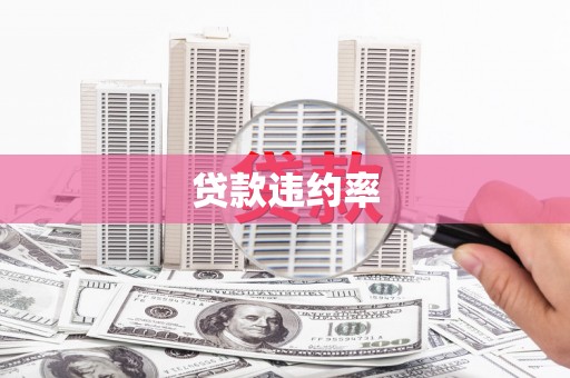 龙游贷款违约率