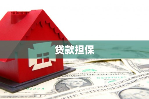 龙游贷款担保