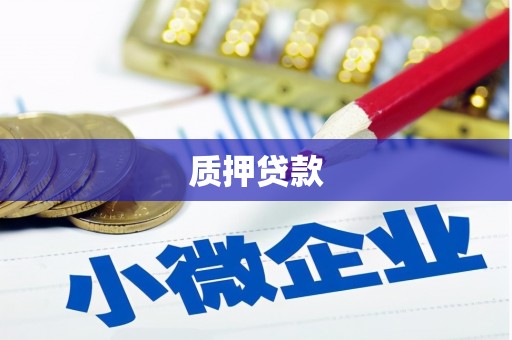 龙游质押贷款