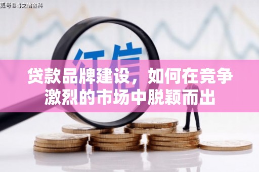 龙游贷款品牌建设，如何在竞争激烈的市场中脱颖而出
