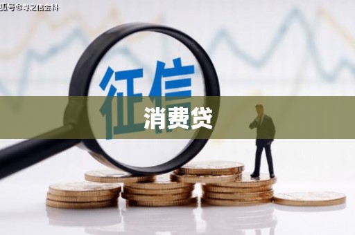 龙游消费贷