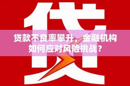 龙游贷款不良率攀升，金融机构如何应对风险挑战？