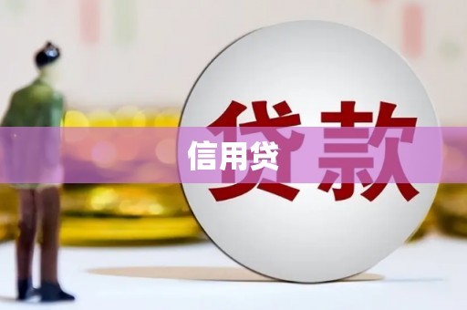 龙游信用贷