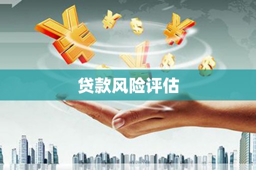 龙游贷款风险评估