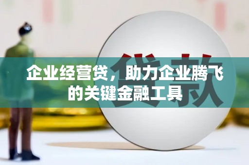 龙游企业经营贷，助力企业腾飞的关键金融工具