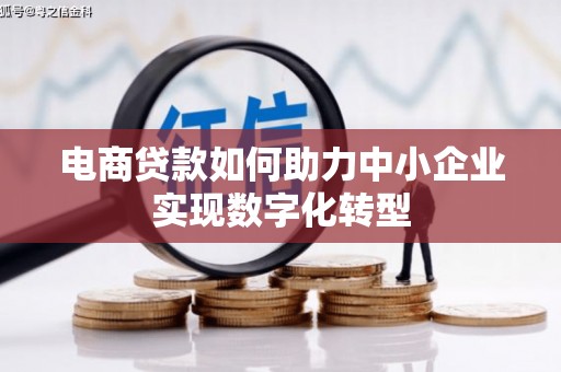 龙游电商贷款如何助力中小企业实现数字化转型