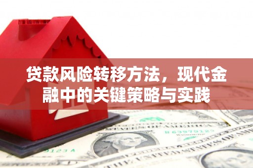 龙游贷款风险转移方法，现代金融中的关键策略与实践