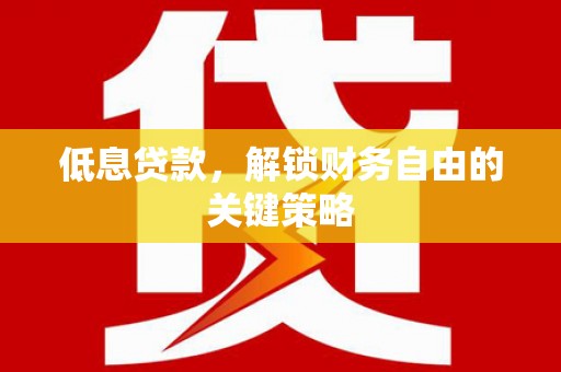 龙游低息贷款，解锁财务自由的关键策略