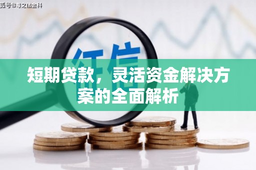 龙游短期贷款，灵活资金解决方案的全面解析