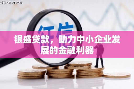 龙游银盛贷款，助力中小企业发展的金融利器