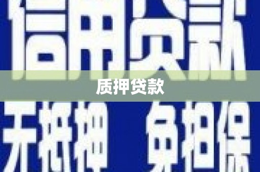 龙游质押贷款