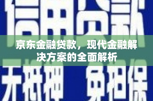 龙游京东金融贷款，现代金融解决方案的全面解析