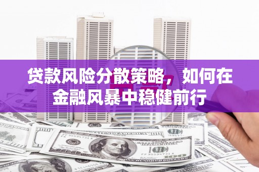 龙游贷款风险分散策略，如何在金融风暴中稳健前行
