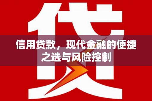 龙游信用贷款，现代金融的便捷之选与风险控制